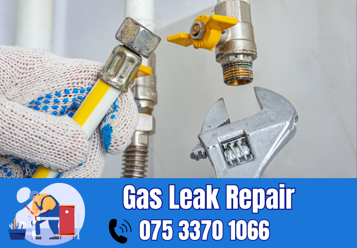 gas leak repair Meopham 