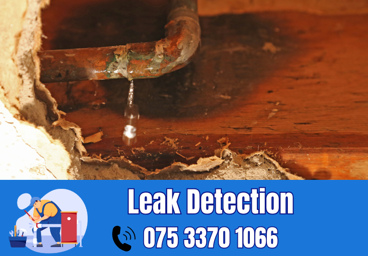 leak detection Meopham 