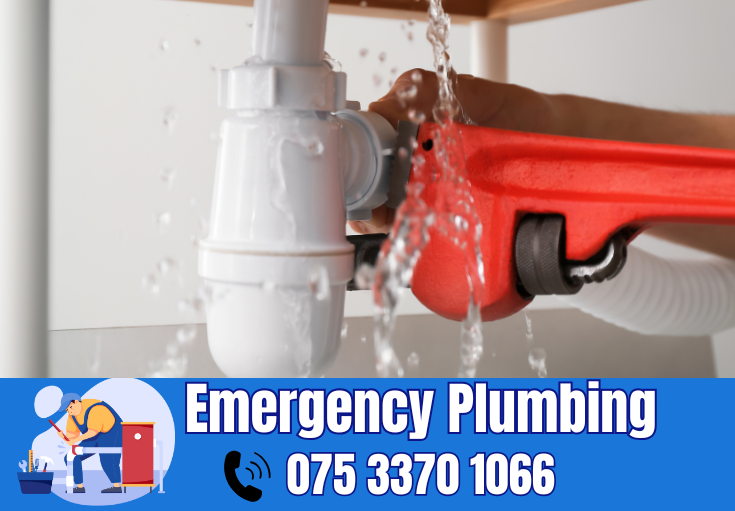  plumber Istead Rise