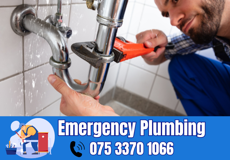  plumber Longfield