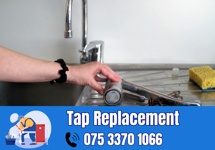 tap repair and replacement Meopham 