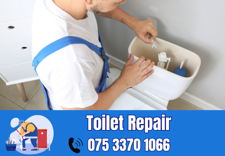 toilet repair Meopham 